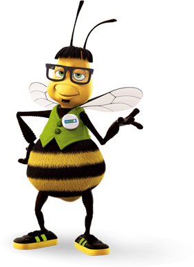 bee dr